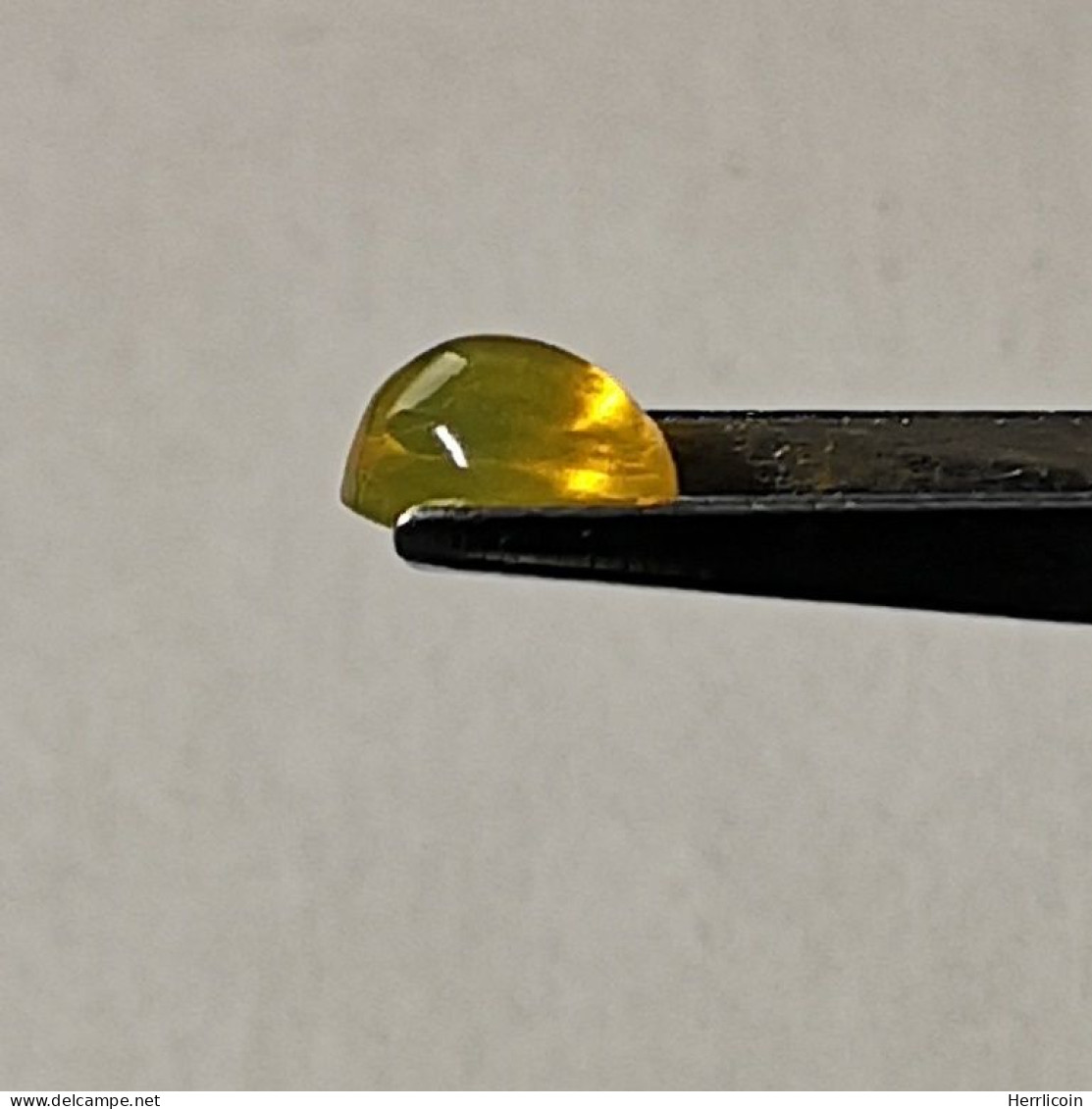 Opale Jaune/Commune Naturelle 0,83 Carat Du Ethiopie  | 7,4 X 5,8 X 4,2 Mm  | Cabochon Ovale - Ópalo