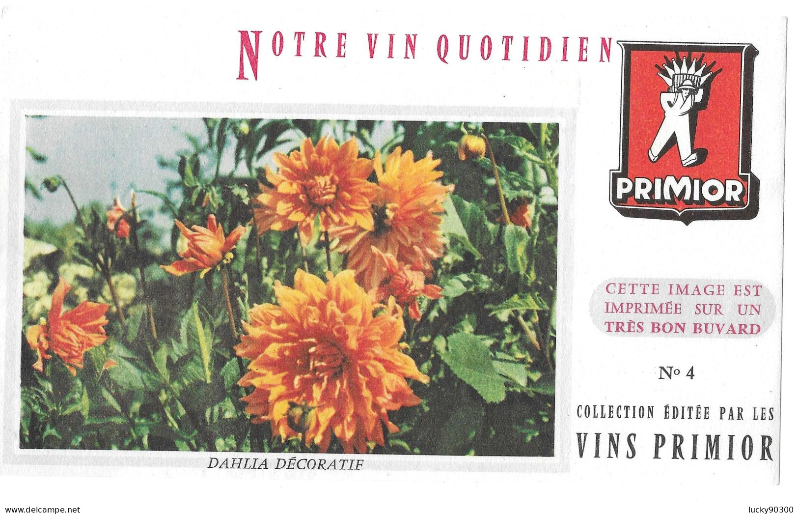 BUVARD VINS PRIMIOR - N° 4 - FLEURS DAHLIA DECORATIF - DIMENSIONS 20 X 12 - F