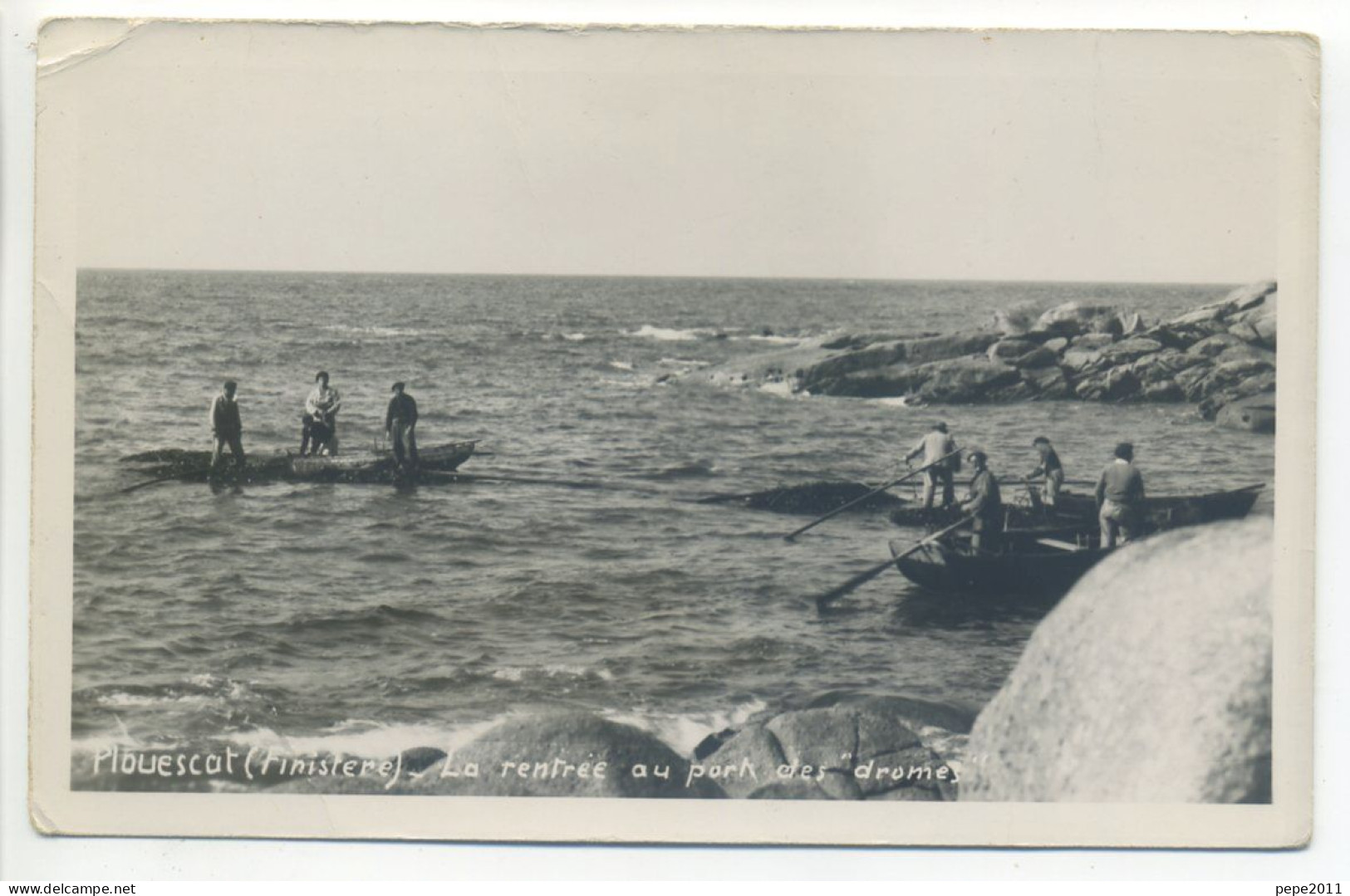 Carte Photo  (29 Finistère) - PLOUESCAT - La Rentrée Au Port Des Dromes - Barques, Pêcheurs - Plouescat