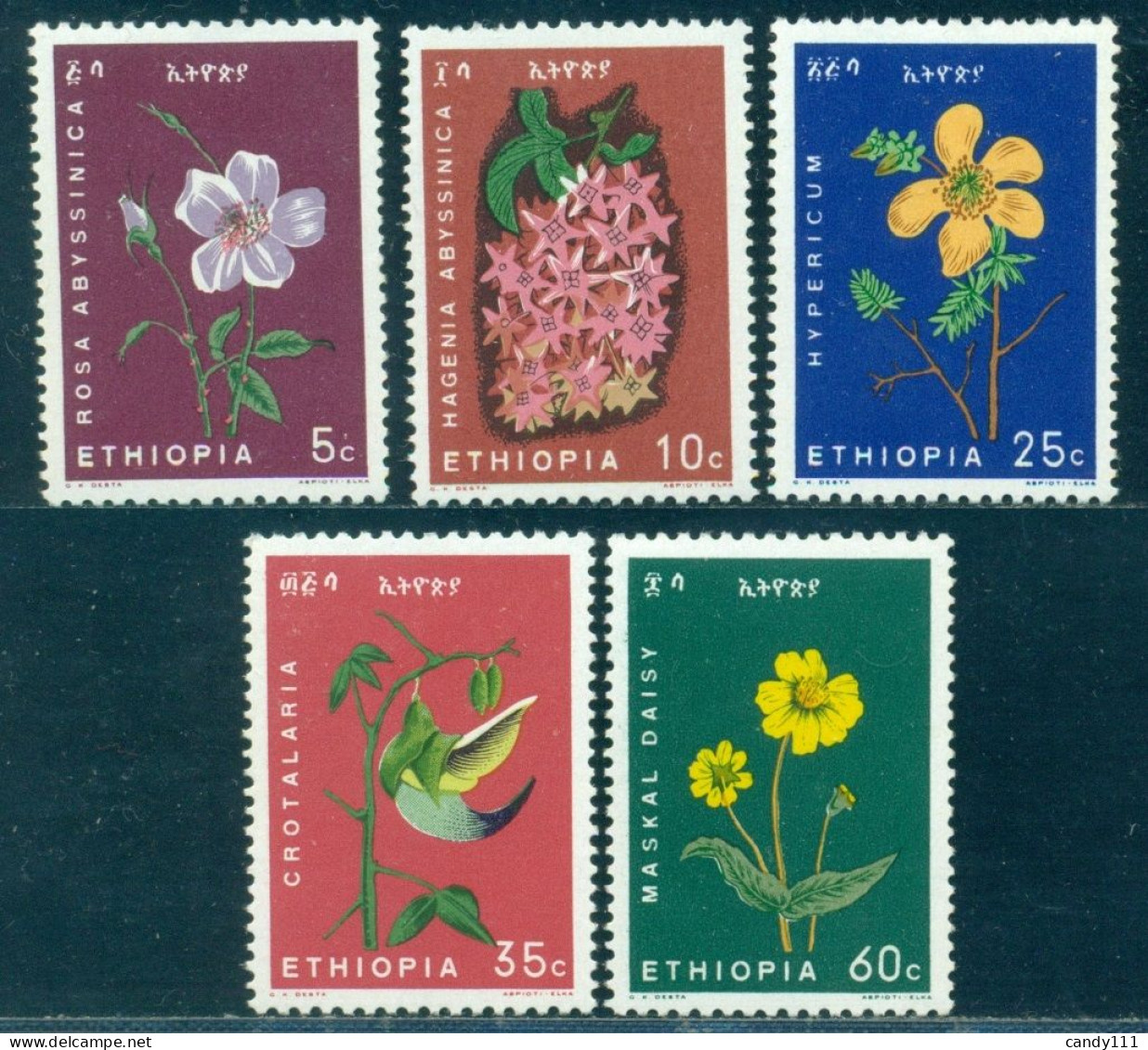 1965 Flowers,Abyssinian Rose,Maskal Daisy,Hypericum,medicinal,Ethiopia,495 ,MNH - Heilpflanzen