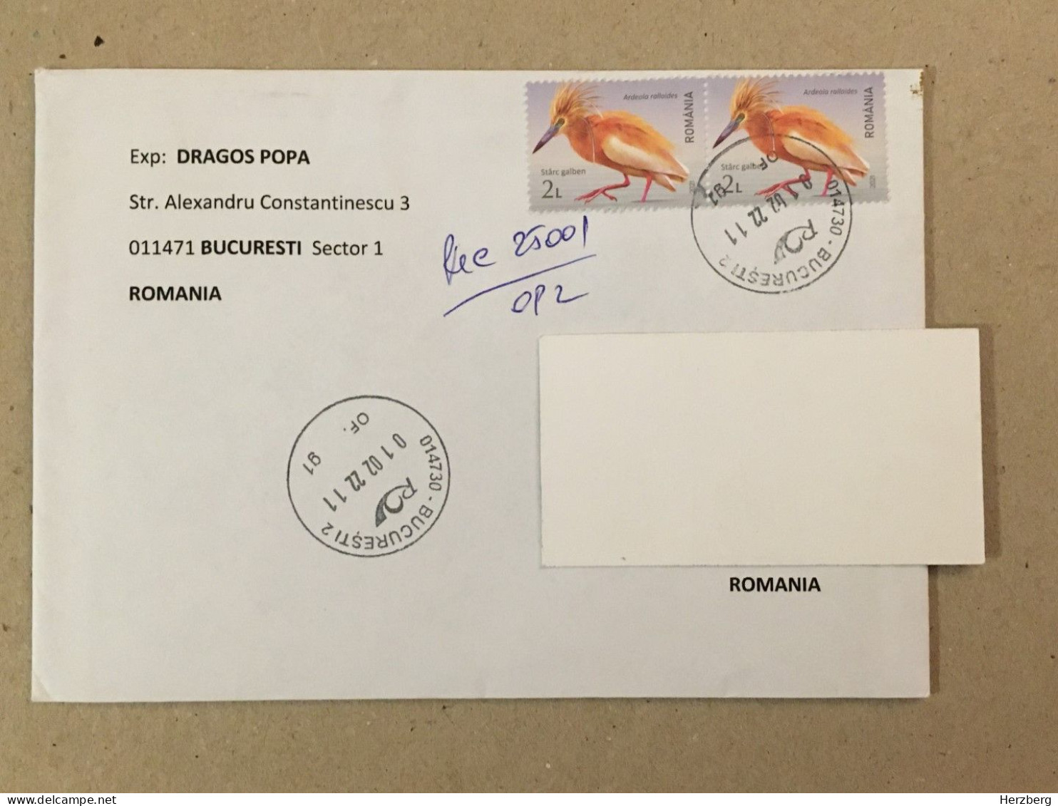 Romania Stationery Circulated Letter Philatelic Cover Stamp Registered Oiseau Vogel Birds Registered 2022 - Autres & Non Classés