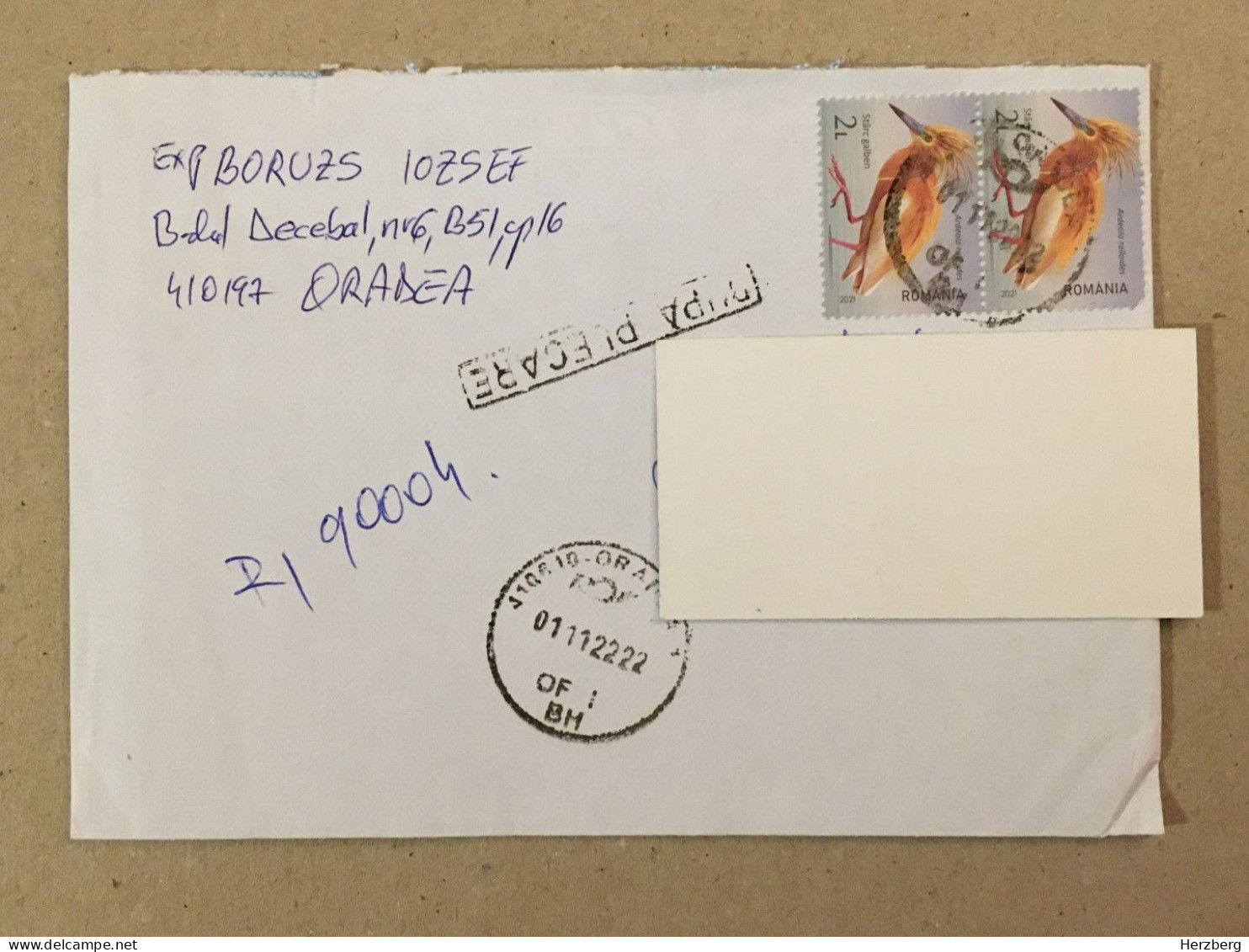 Romania Stationery Circulated Letter Philatelic Cover Stamp Registered Oiseau Vogel Birds Registered 2022 - Autres & Non Classés