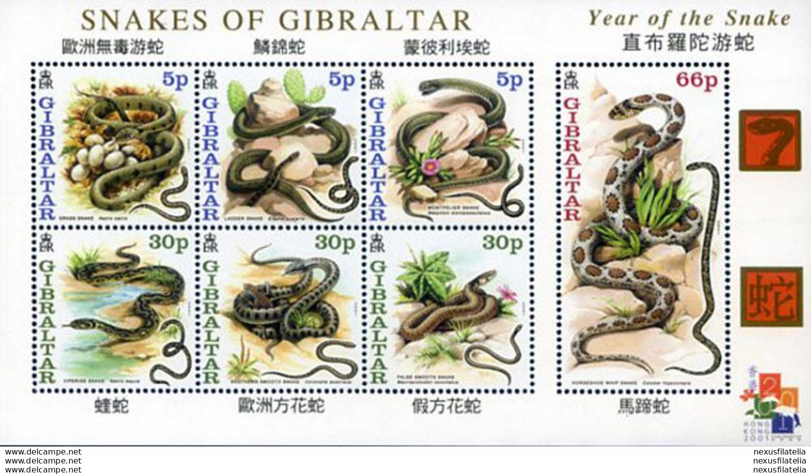 Fauna. Serpenti 2001. - Gibraltar