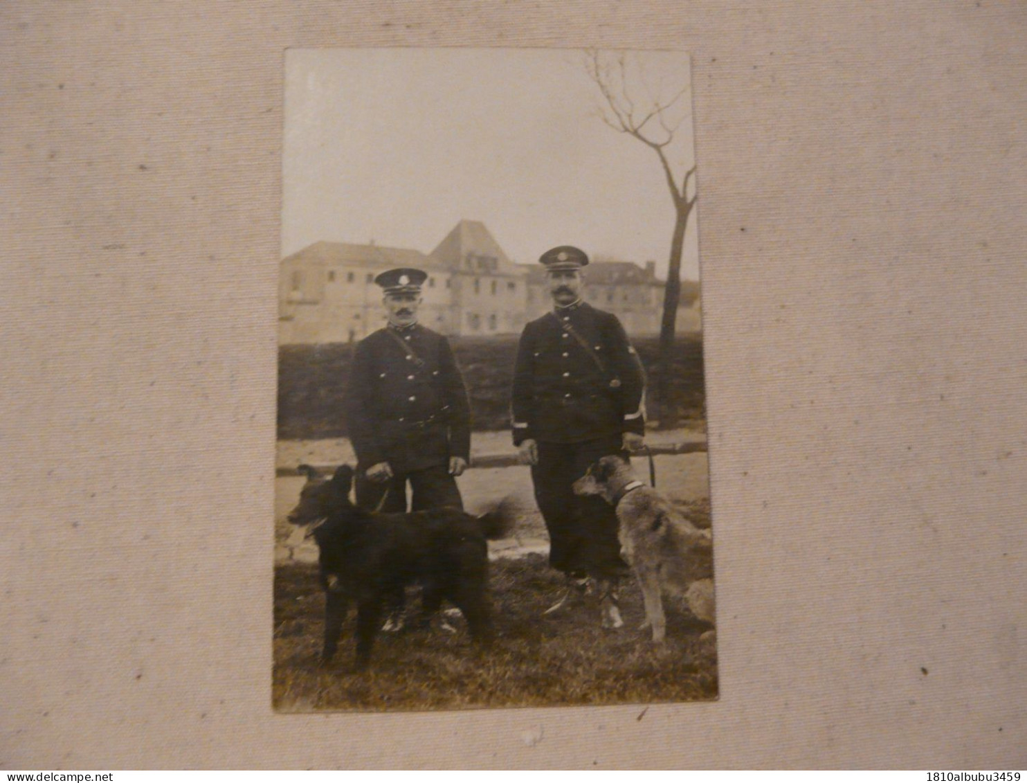 RARE - CARTE PHOTO 94 VAL DE MARNE - GENTILLY : Brigade Spéciale Des Chiens De Police - Scène Animée - Gentilly