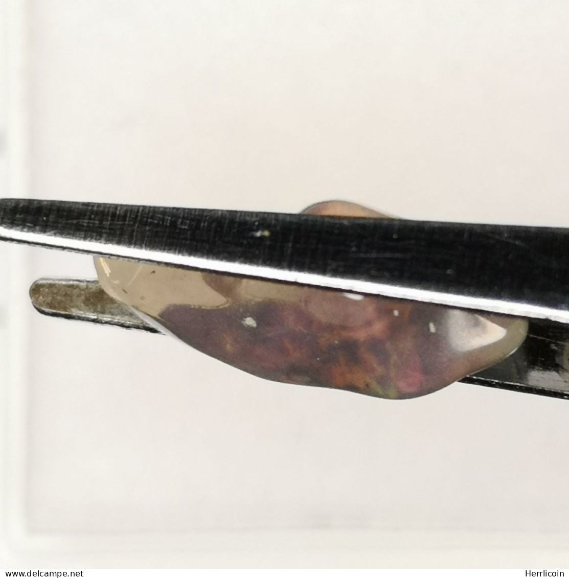 Opale Noire Traitée D'Ethiopie - Brute 1.54 Carat - 15.2 X 6.6 X 5.6 Mm - Opaal