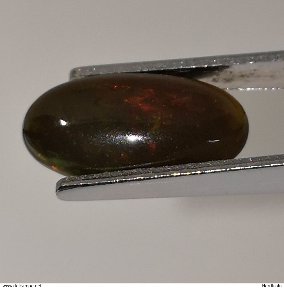 Opale Noire Traitée D'Ethiopie - Cabochon 1.58 Carat - 12.0 X 6.5 X 3.7 Mm - Opaal
