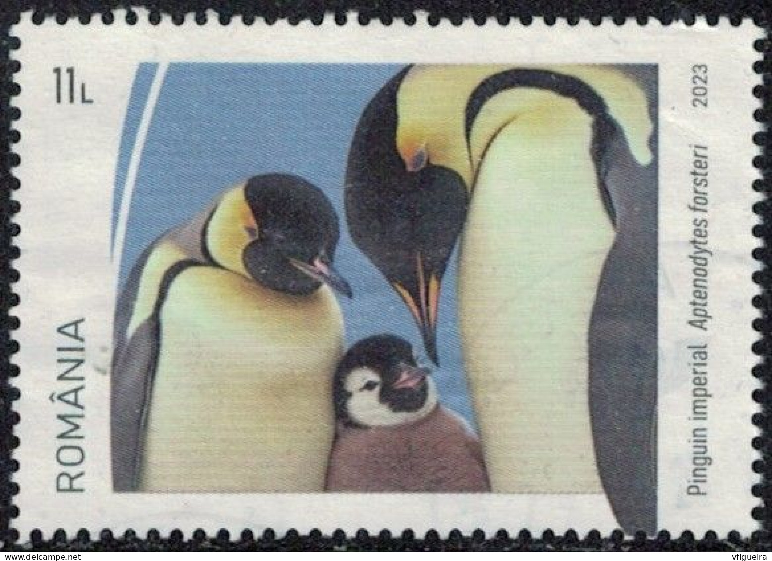 Roumanie 2023 Oblitéré Used Animal Oiseau Aptenodytes Forsteri Manchot Empereur Y&T RO 7003 SU - Used Stamps