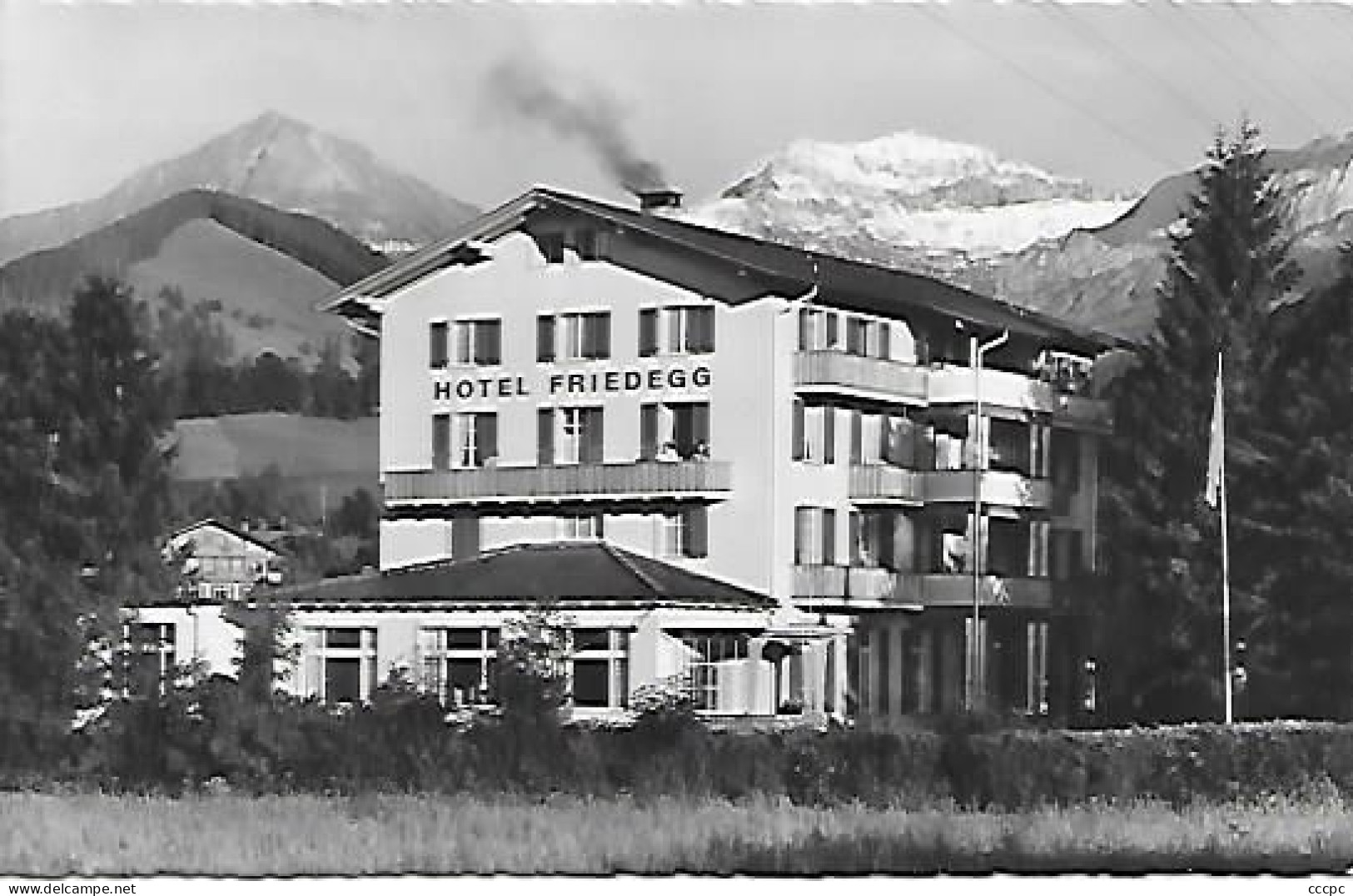 CPSM AESCHI OB SPIEZ - HOTEL FRIEDEGG - Aeschi Bei Spiez