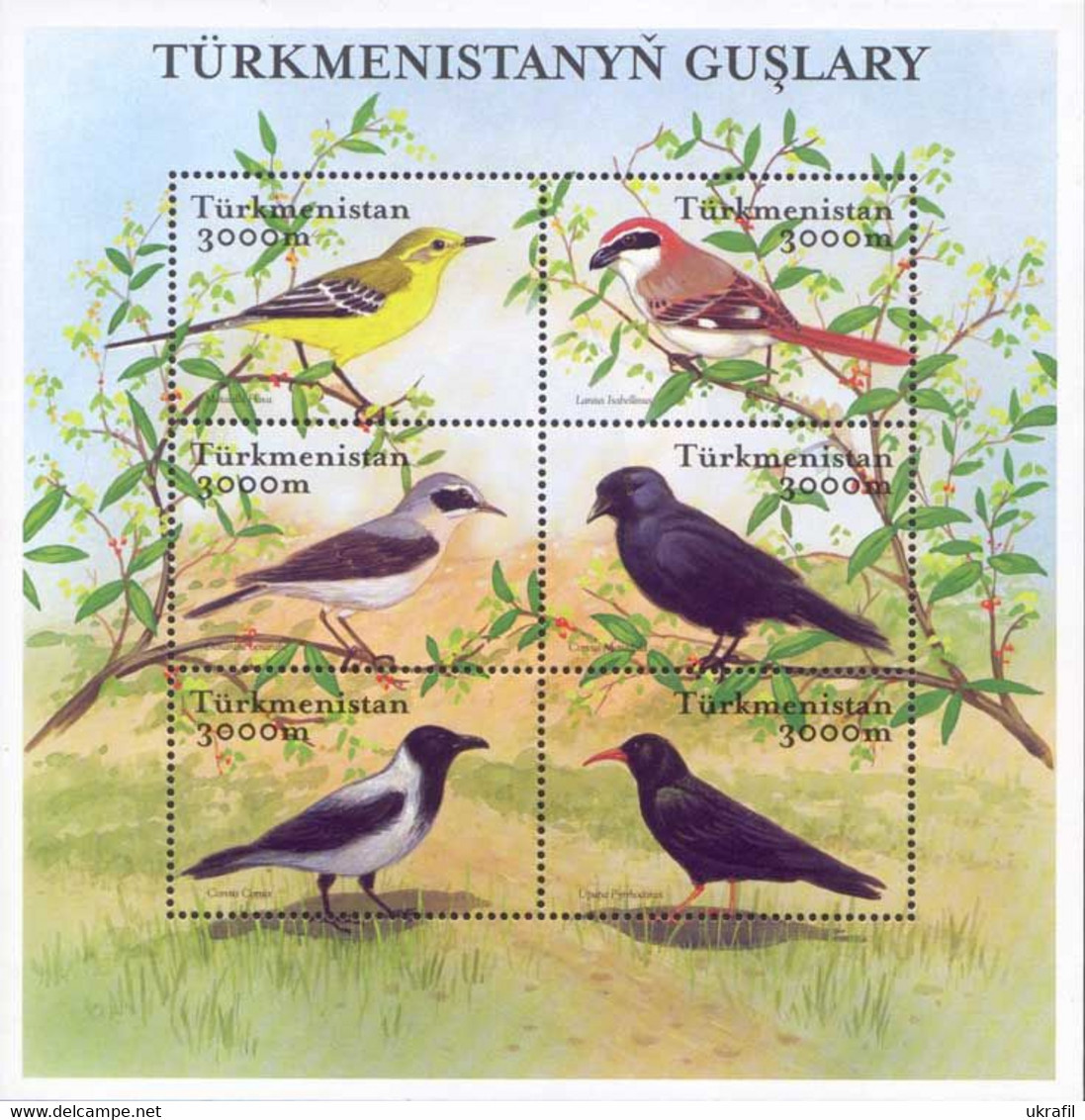 Turkmenistan 2002, Fauna, Birds, Block Of 6v - Turkménistan