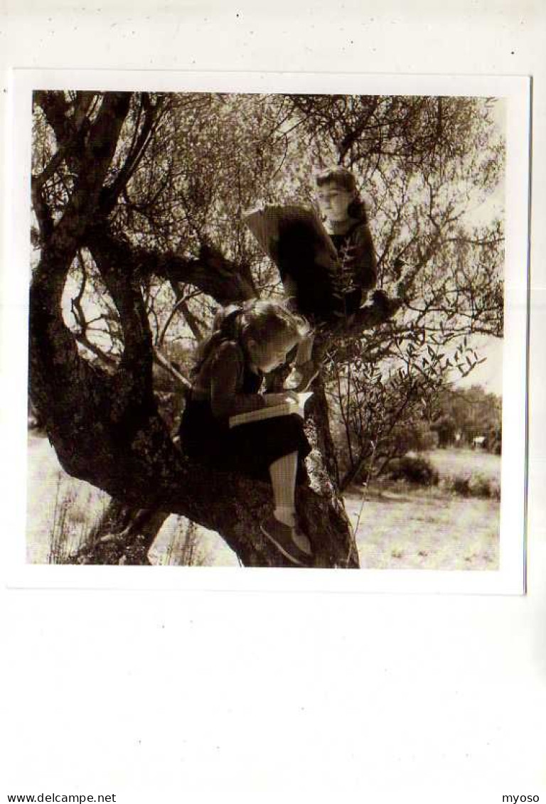 DOISNEAU Paques En Provence Carnet, Editions Ivoire,fillettes Dans Les Arbres En Train De Lire - Doisneau