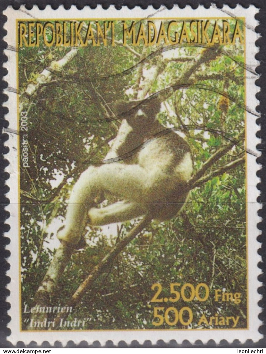 2003 Madagaskar ° Mi:MG 2605, Sn:MG 1578, Yt:MG 1847, Indri (Indri Indri), Lemurien - Apen