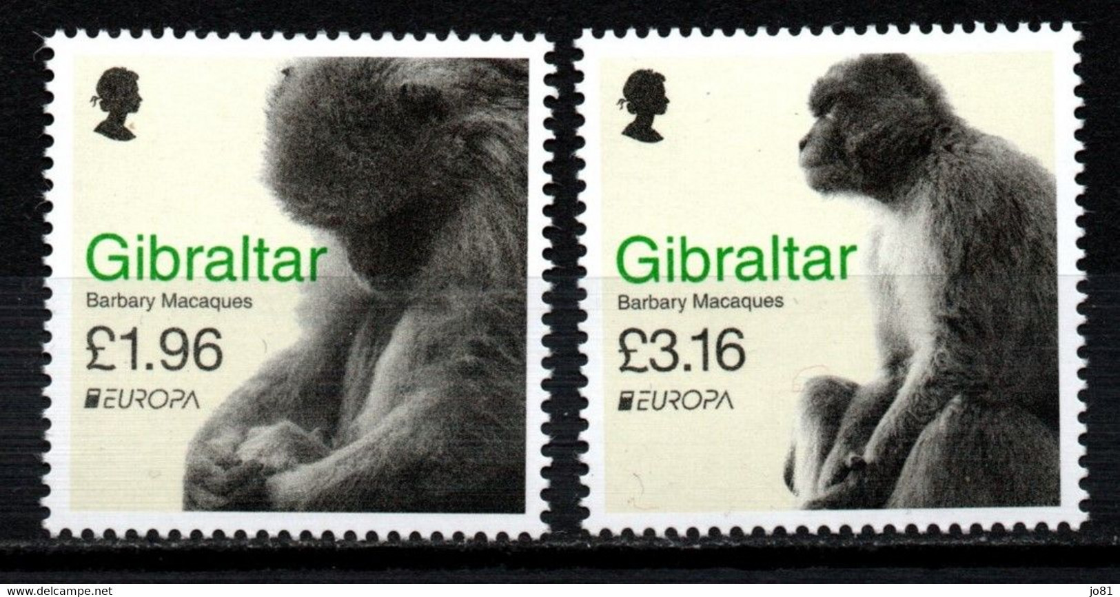 Gibraltar YT 2001-2002 Neuf Sans Charnière XX MNH Europa 2021 Singe Monkey Affe - Gibraltar