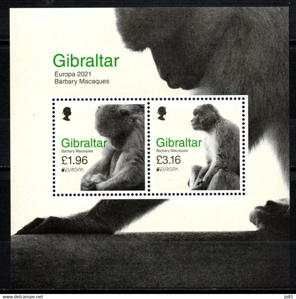 Gibraltar YT F2001 (2001-2002) En Feuillet Neuf Sans Charnière XX MNH Europa 2021 Singe Monkey Affe - Gibraltar