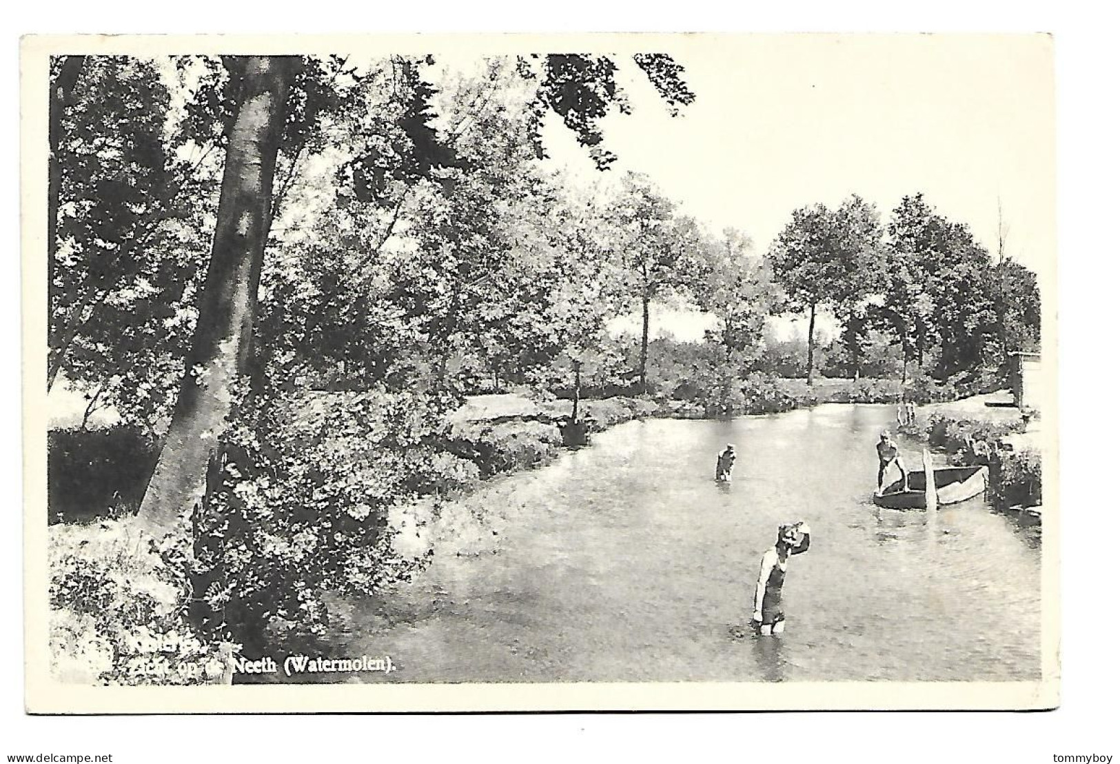 CPA Kasterlee -- Zicht Op De Neeth (Watermolen) - Kasterlee