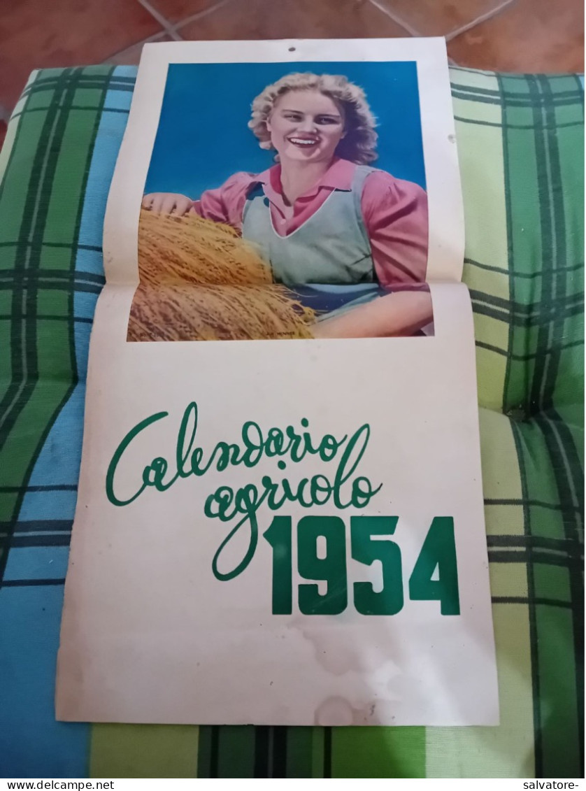 CALENDARIO AGRICOLO 1954 - Groot Formaat: 1941-60