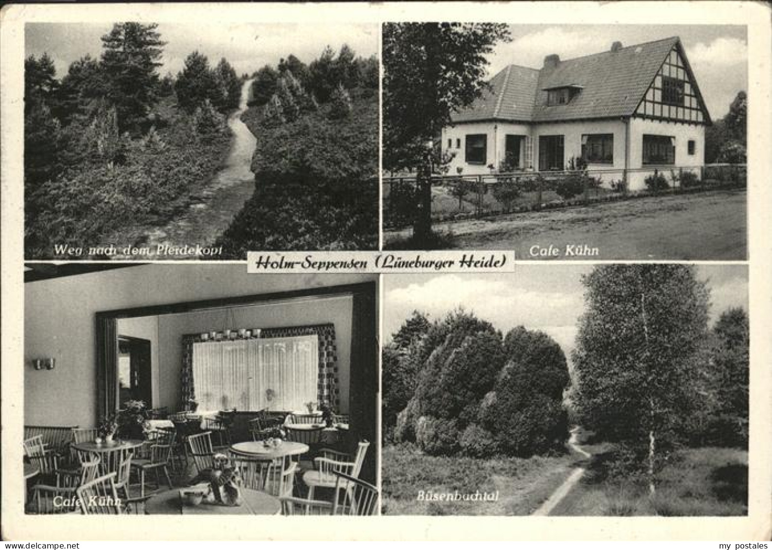 41095374 Holm-Seppensen Cafe Kuehn
Buesenbachtal Holm-Seppensen - Buchholz