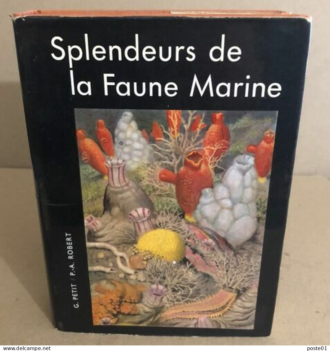 Splendeurs De La Faune Marine / 32 Planches En Couleurs Et 42 Dessins - Barche