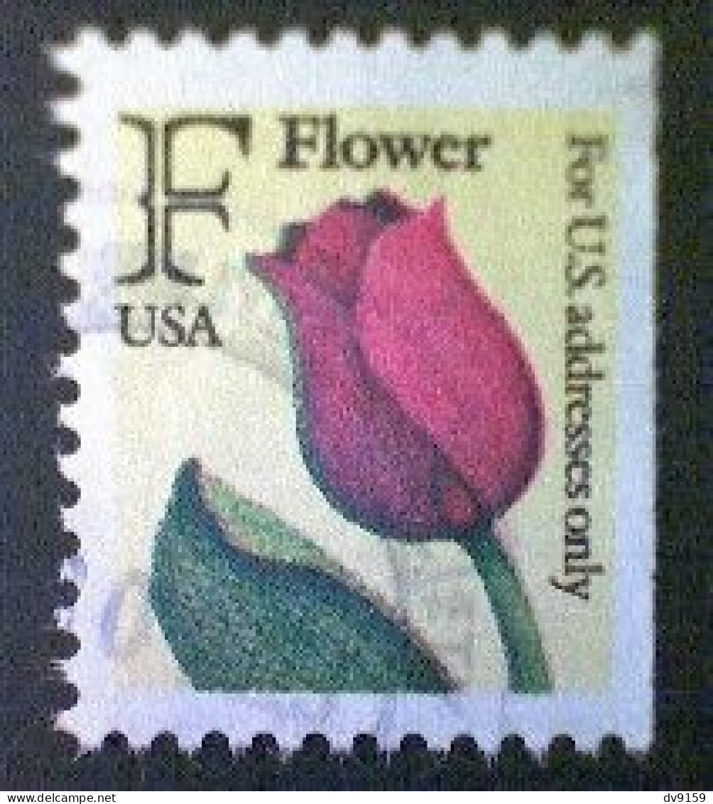 United States, Scott #2519, Used(o), 1991, Rate Change "F" Tulip , (29¢), Yellow, Black, Red, And Yellow Green - Used Stamps