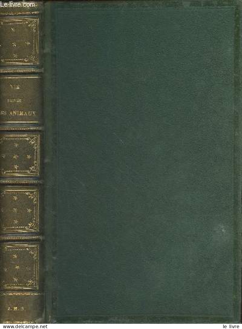 Vie Privée Et Publique Des Animaux - Grandville J.J. - 1867 - Valérian