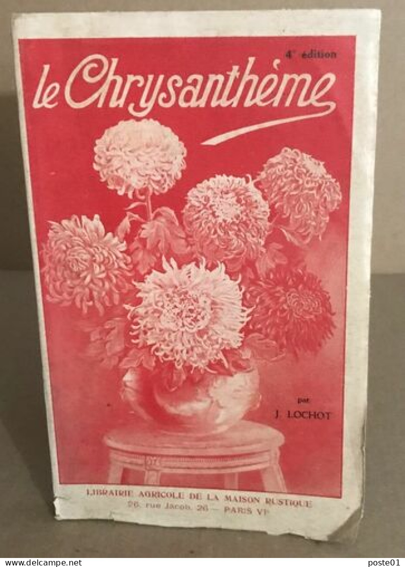 Le Chrysanthème - Encyclopédies