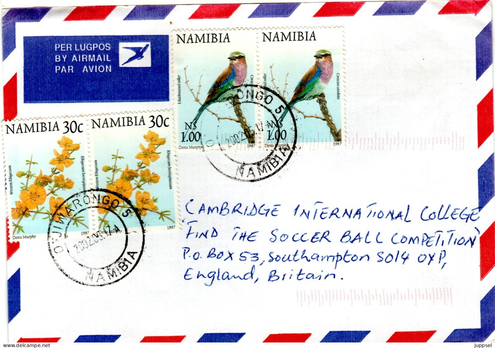 NAMIBIA  Letter,  Lilacbreasted Roller, Flowers   /  NAMIBIE  Lettre, Birds, Fleurs - Storchenvögel