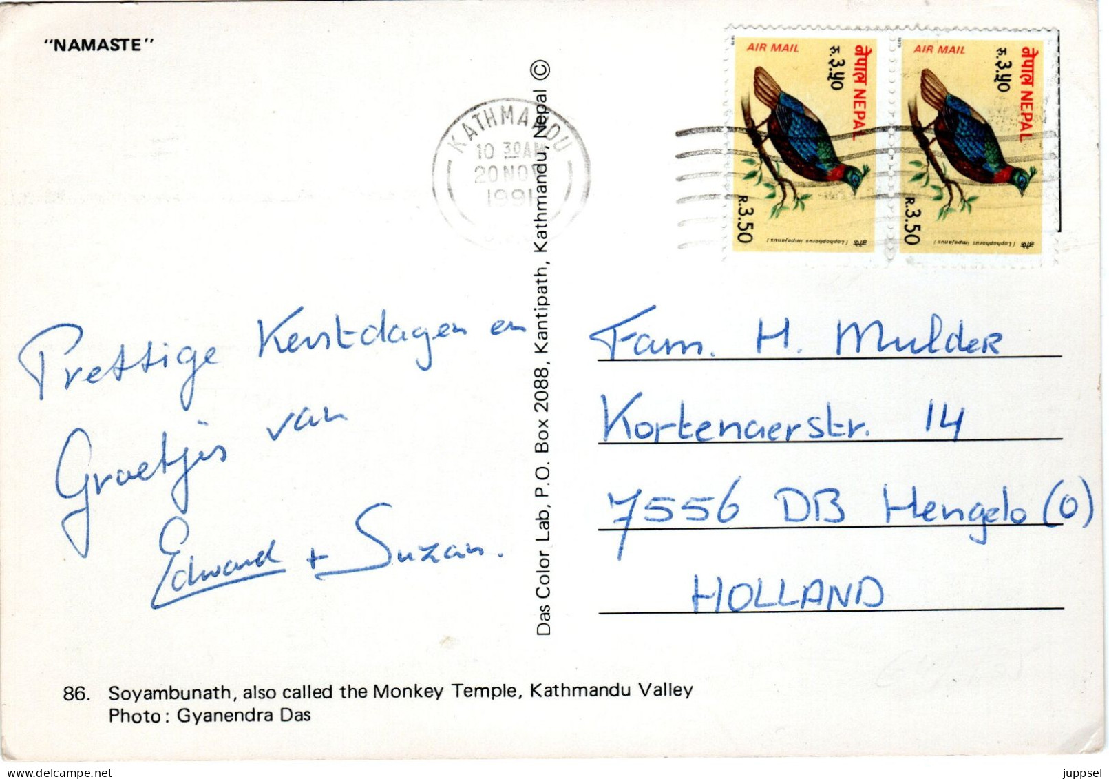 NEPAL, Picture Postcard,  Bird,  Himalaya Pheasant   /  ALLEMAGNE, Carte Postale, Oiseaux, Faisan     1991 - Gallináceos & Faisanes