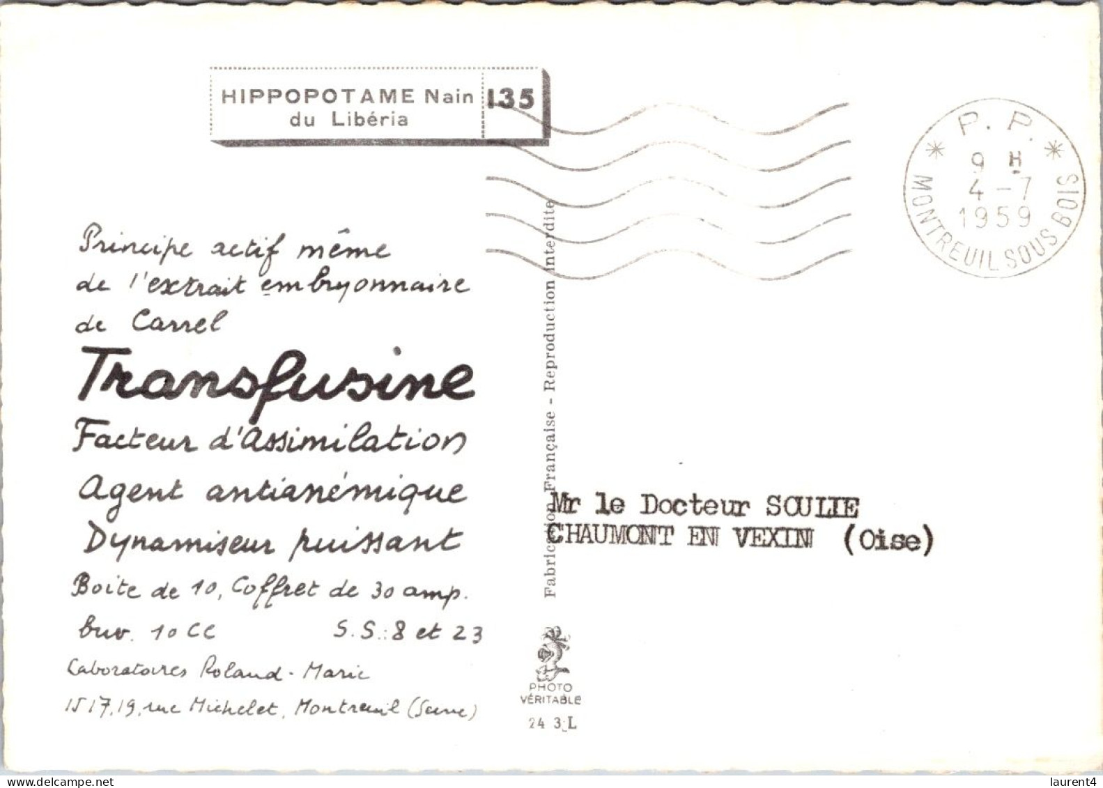 15-2-2024 (4 X 18) Transfusine - Black & White (posted In 1959) 135 - Hippopotame Nain (Liberia) / Dwarf Hippopotamus - Flusspferde