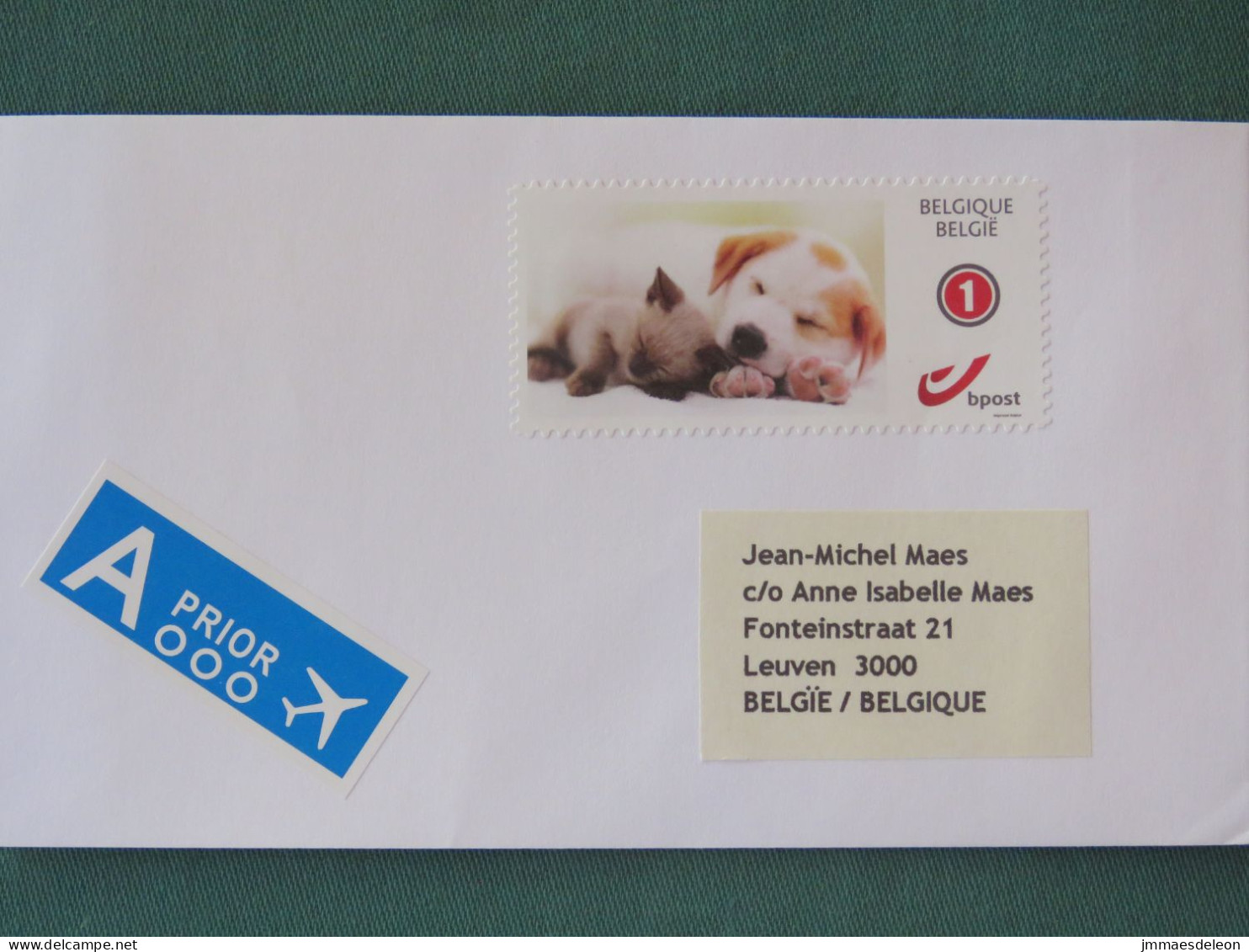 Belgium 2022 Cover Leuven Local - Dog Cat - Lettres & Documents