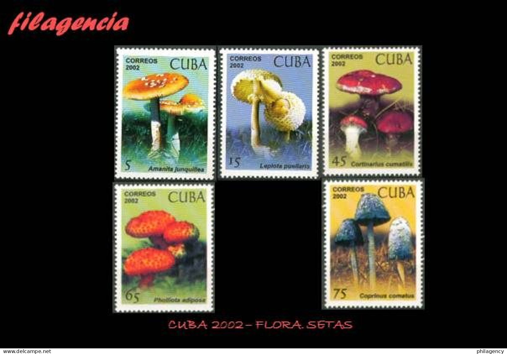 CUBA MINT. 2002-11 FLORA. SETAS - Nuevos