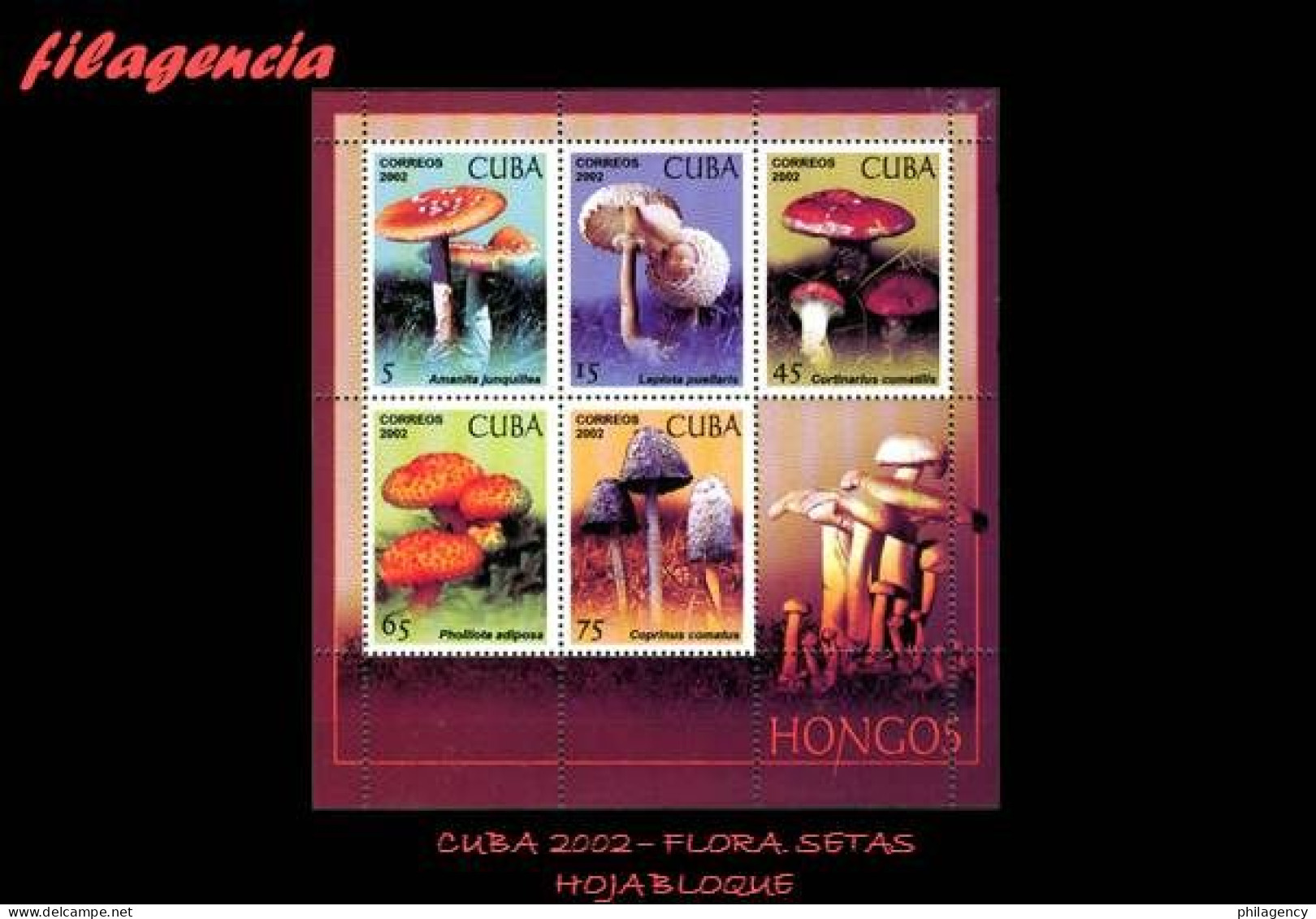 CUBA MINT. 2002-11 FLORA. SETAS. HOJA BLOQUE - Nuevos