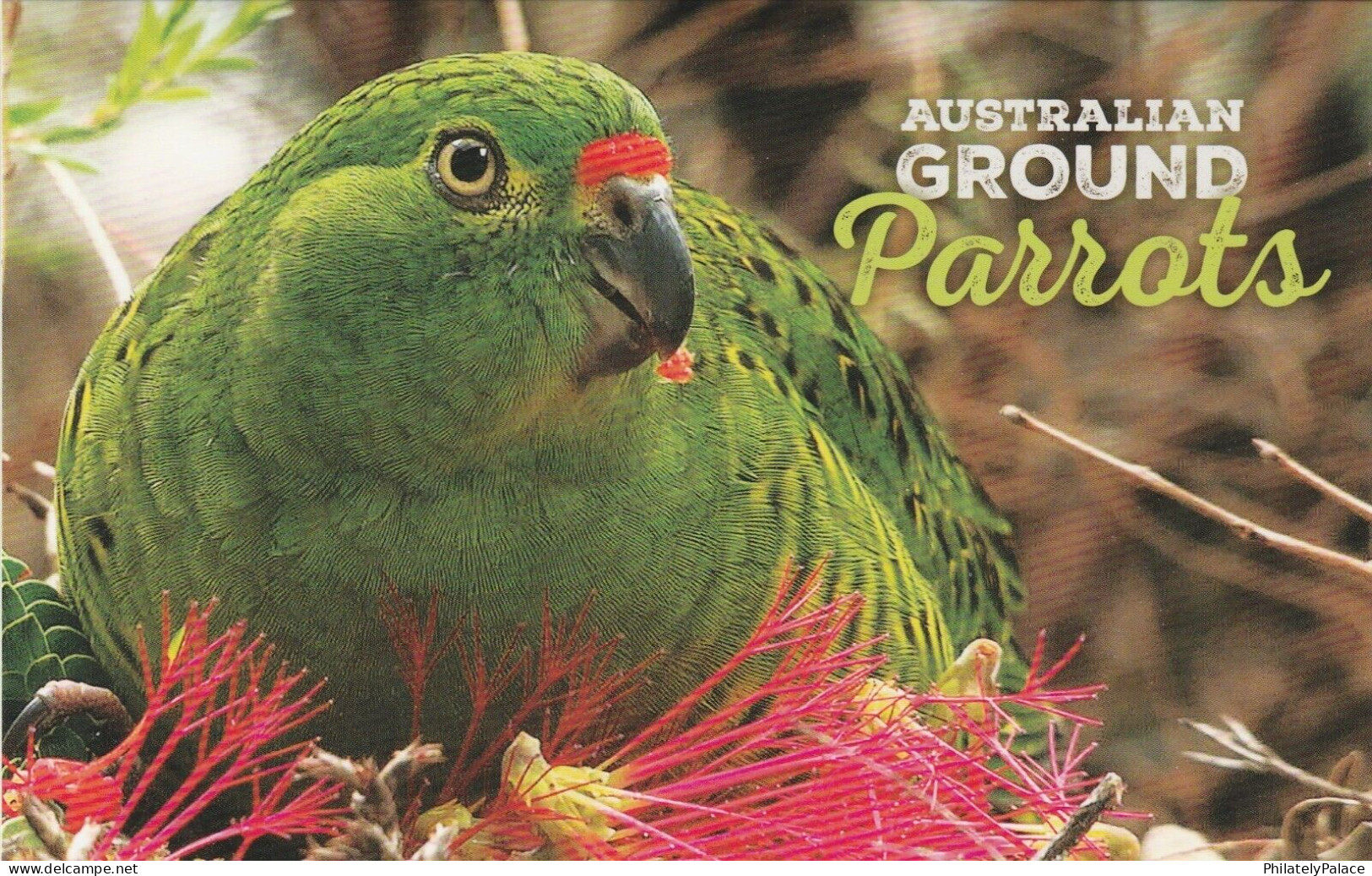 AUSTRALIA 2024 Aussie Birds, GROUND PARROTS, Set & MINISHEET MNH In STAMP PACK (**) - Ungebraucht