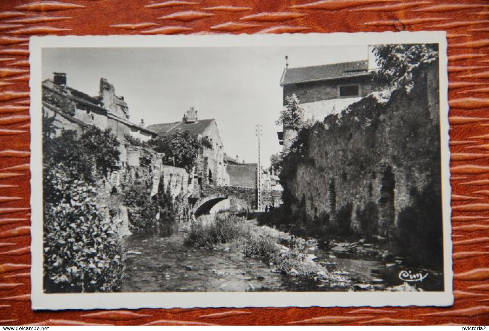 34 - ST PONS : Vieux Pont Sur Le JAUR - Saint-Pons-de-Thomières