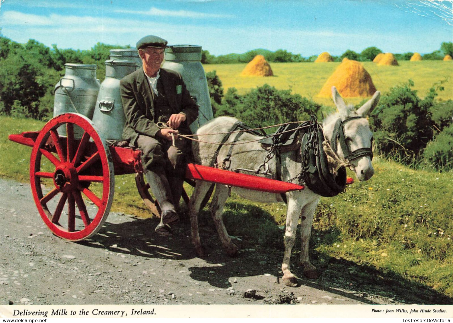 IRLANDE - Delivering Milk To The Greamary Ireland - Carte Postale - Sonstige & Ohne Zuordnung