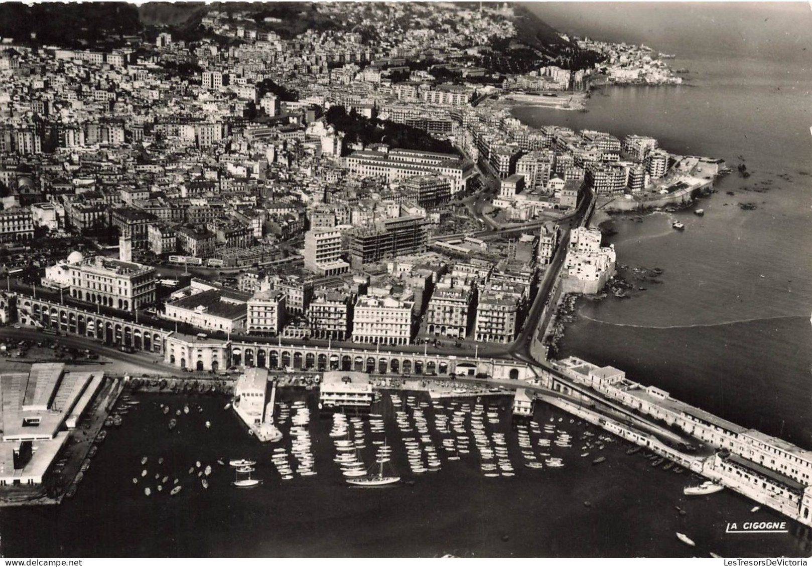 ALGERIE - Alger - Vue Générale De La Ville - Nord Vers Saint Eugène - Carte Postale Ancienne - Algiers