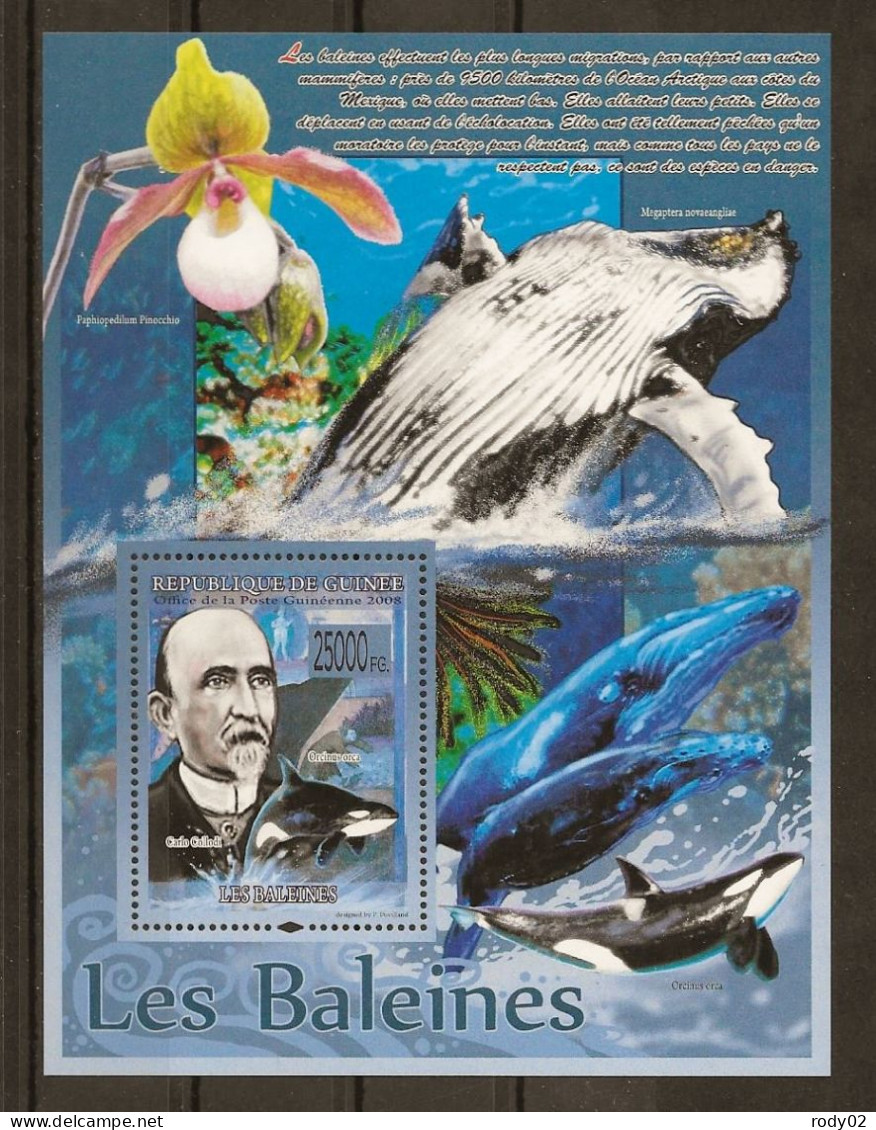 GUINEE - BALEINES - N° 3453 A 3458 ET BF 854 ET 855 - NEUF** MNH - Whales