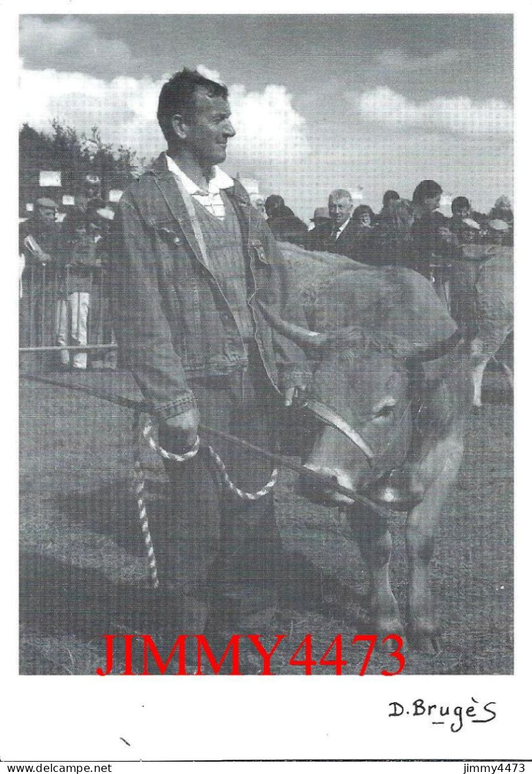 CPM - Concours Spécial De La Race Aubrac à NEUVEGLISE (Cantal) - Mr. Louis Raynal Un Des Lauréats - Photo Daniel BRUGES - Fiere