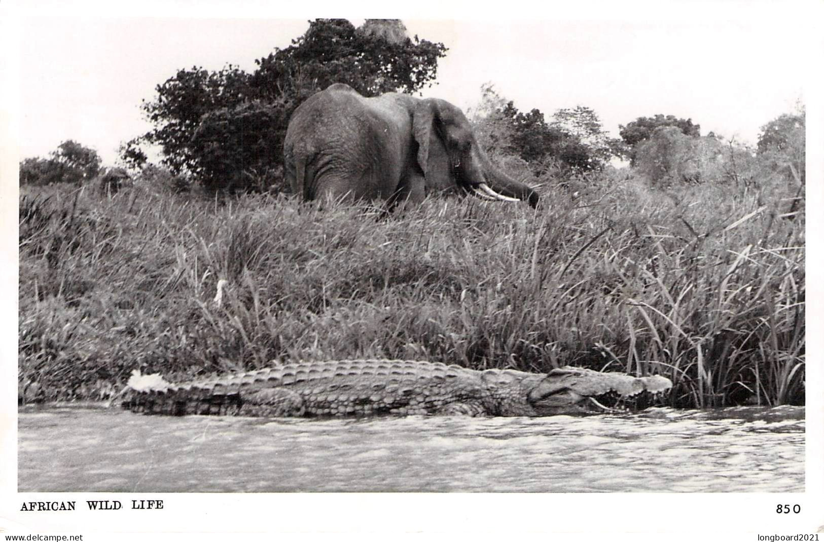 KENYA, UGANDA, TANGANYIKA - PICTURE POSTCARD 1960 ARUSHA - KARLSRUHE/DE. / 5209 - Kenya, Uganda & Tanganyika