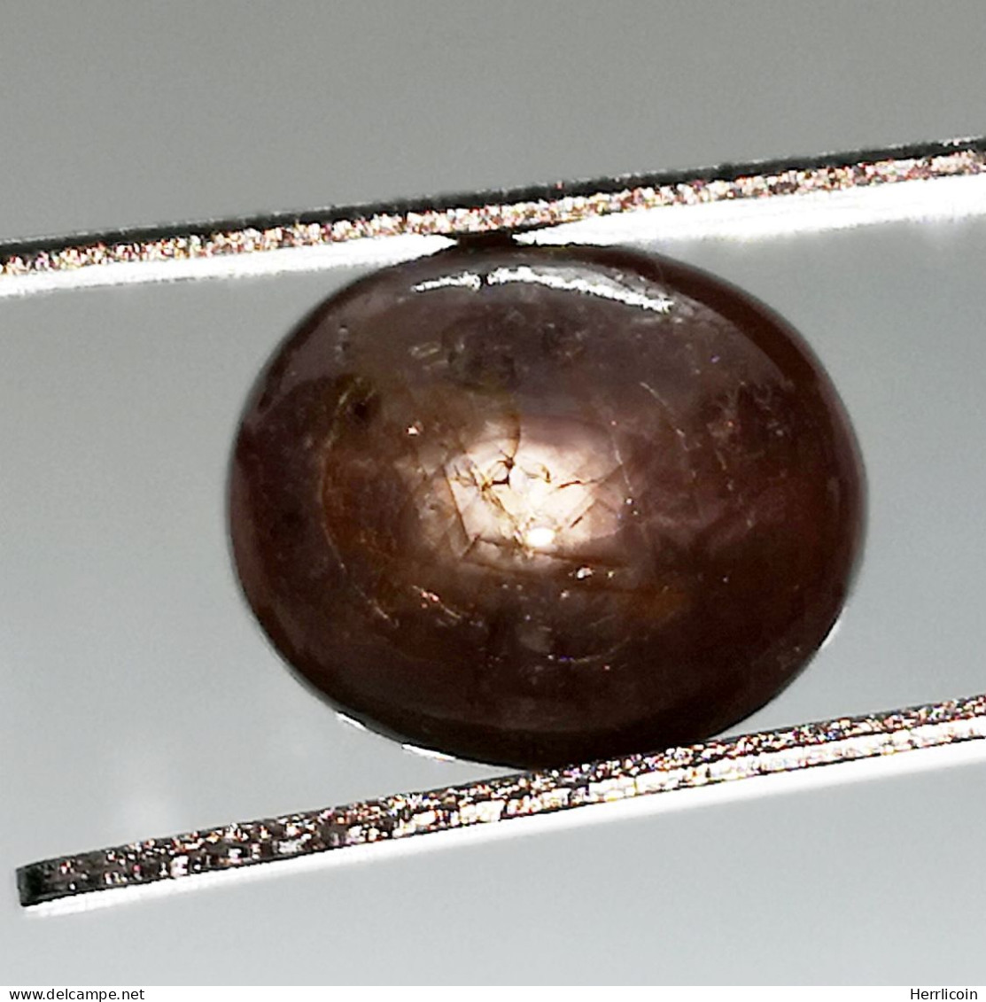 Rubis étoilé Du Mozambique - Cabochon 4.95 Carats - 10.5 X 9 X 5.2 Mm - Rubis