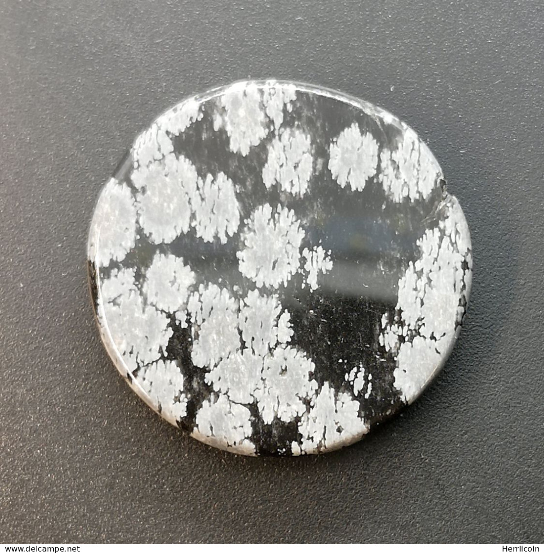 Obsidienne "Flocons De Neige" Naturelle Du Pérou - Cabochon 21.10 Carats - 23.7 X 23.7 X 5.2 Mm - Obsidiana