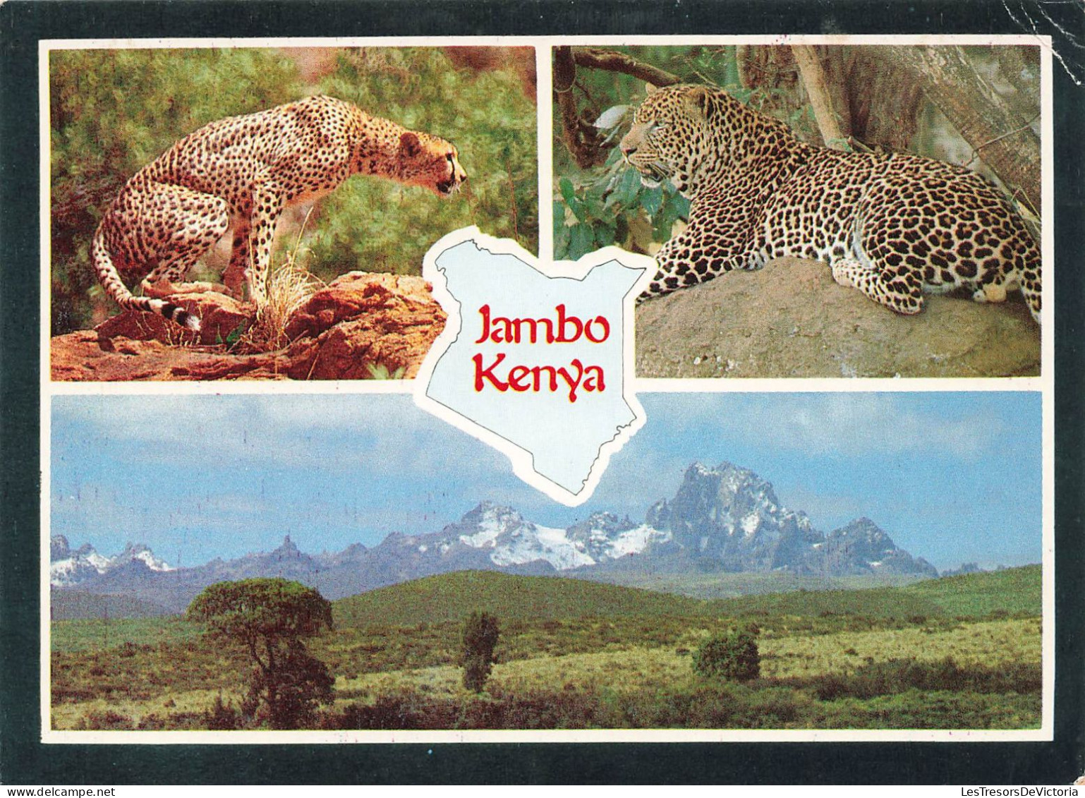 KENYA - Jambo - Un Paysage Et Les Faunes Sauvages - Colorisé - Carte Postale - Kenya