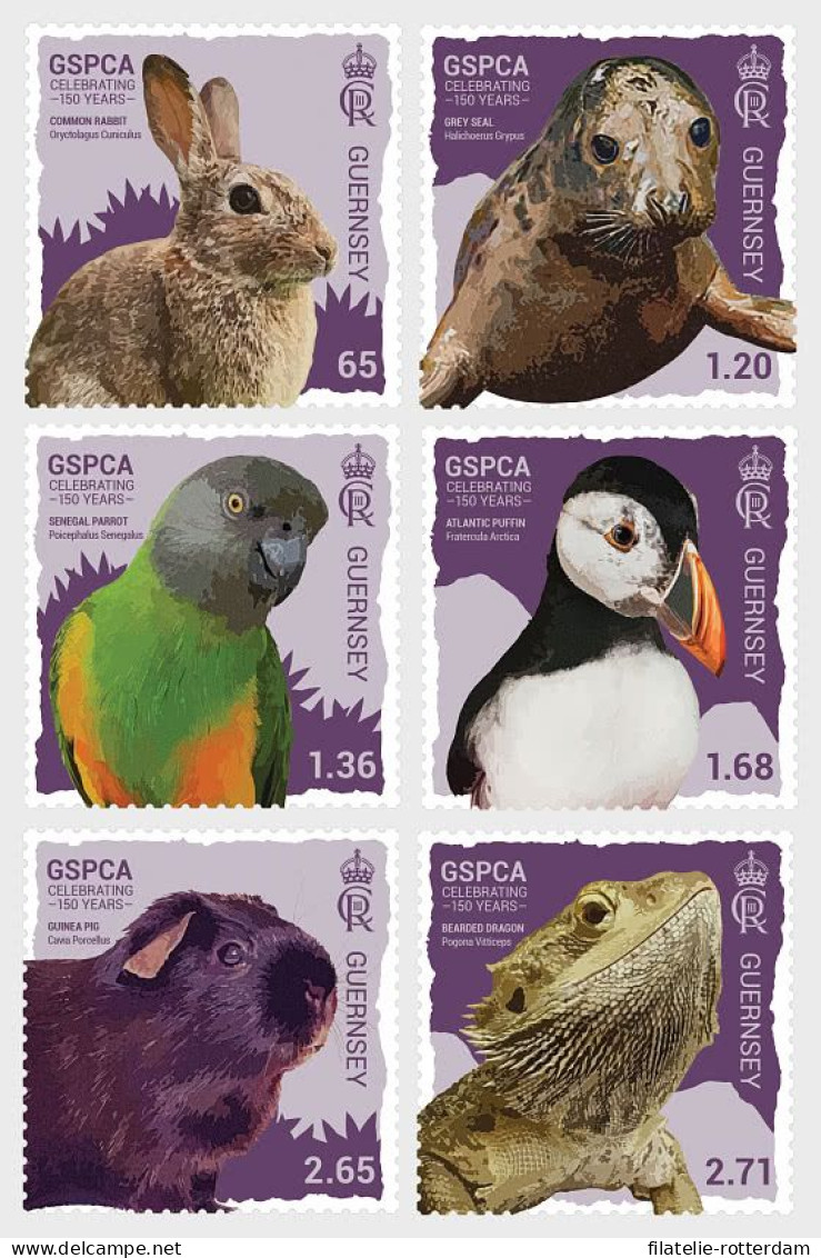 Guernsey - Postfris / MNH - Complete Set 150 Years GSPCA 2024 - Guernesey