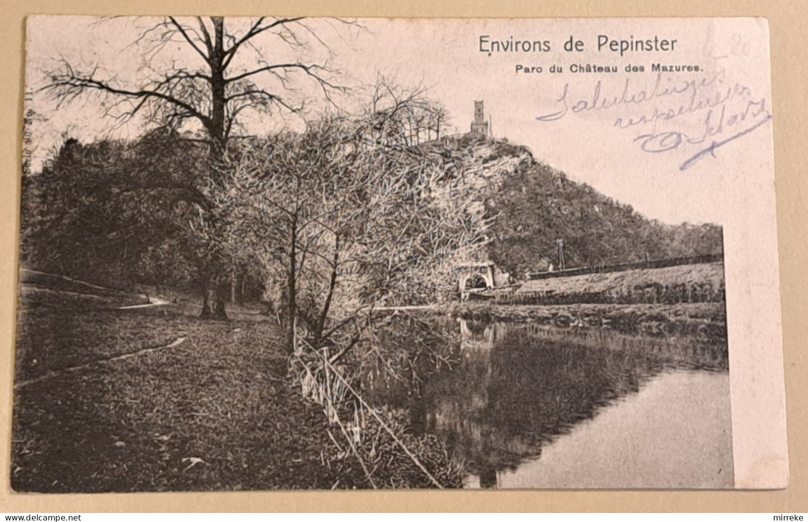 @C4@  -  Environs De PEPINSTER  -  Parc Du Château Des Mazures  -  Zie / Voir / See Scan's - Pepinster