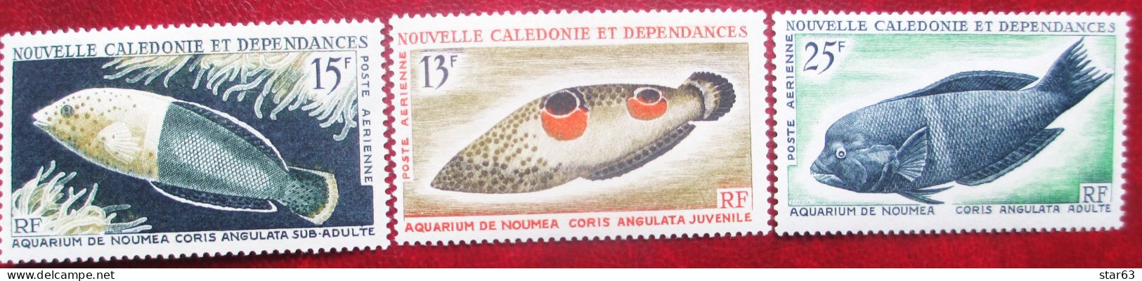 New Caledonia  1965    3 V   MNH - Nuevos