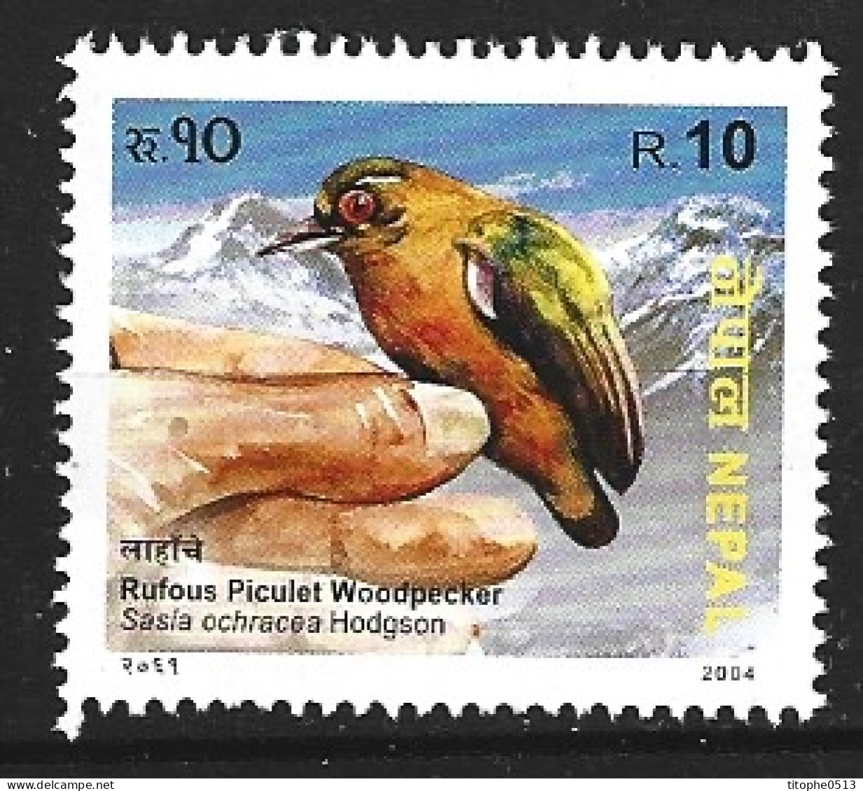 NEPAL. N°762 De 2005. Picumne à Sourcils Blancs. - Climbing Birds