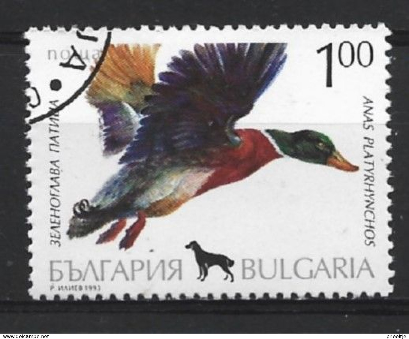 Bulgaria 1993 Bird  Y.T. 3535 (0) - Oblitérés