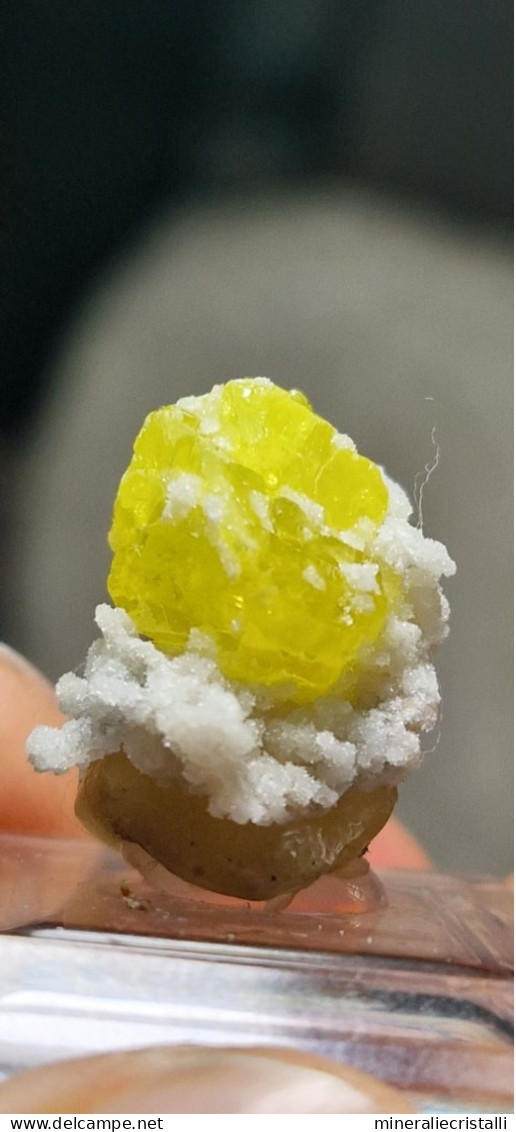 Zolfo Cristallo Singolo Gemma Sicilia Cozzodisi 1,83 Gr - Minerals