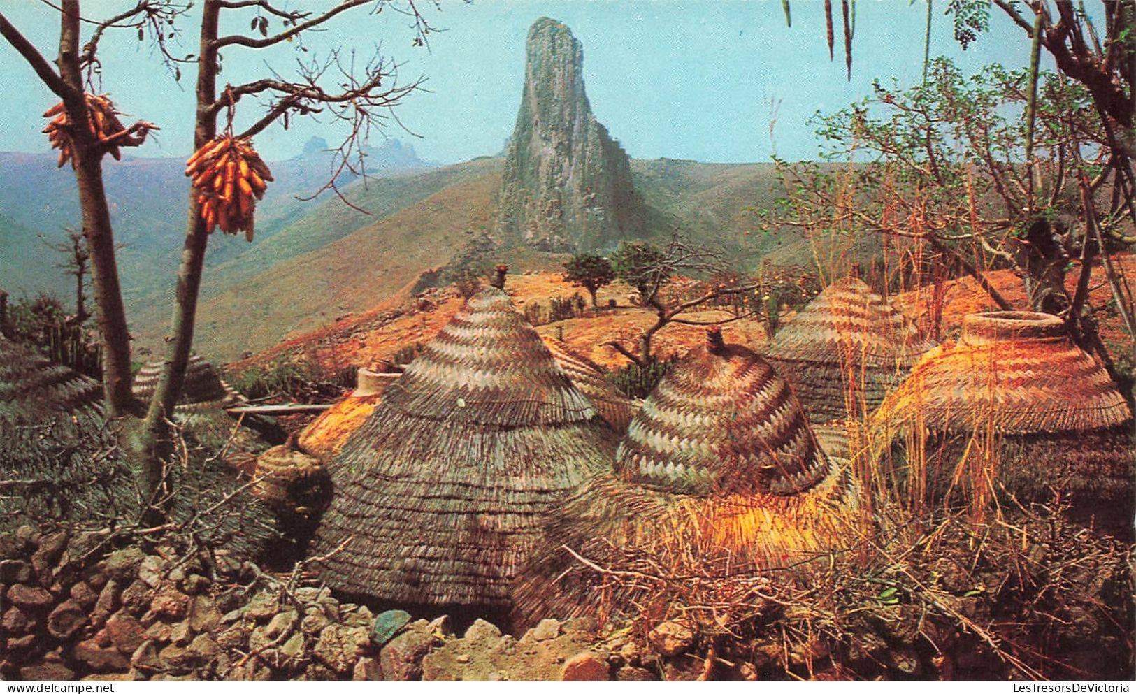 CAMEROUN - Nord Cameroun - Paysage Des Kapsikis - Colorisé - Carte Postale - Camerún