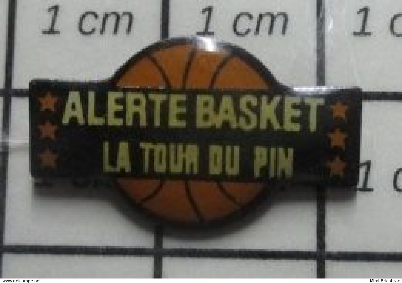 2819 Pin's Pins : BEAU ET RARE / SPORTS / ALERTE BASKET LA TOUR DU PIN - Basketbal