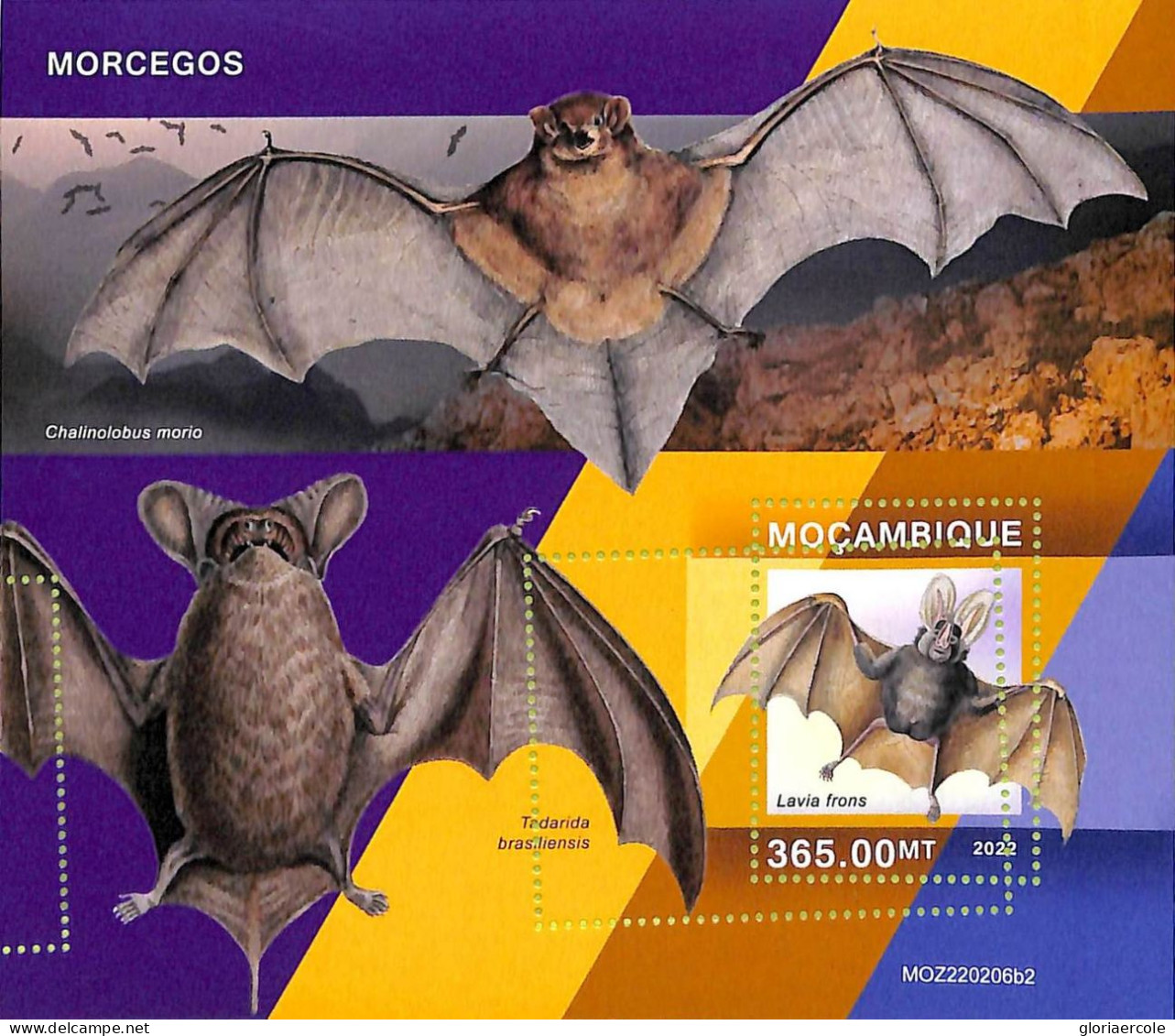 A9060 - Mozambique - ERROR MISPERF Stamp Sheet - 2022 - BATS - Vleermuizen