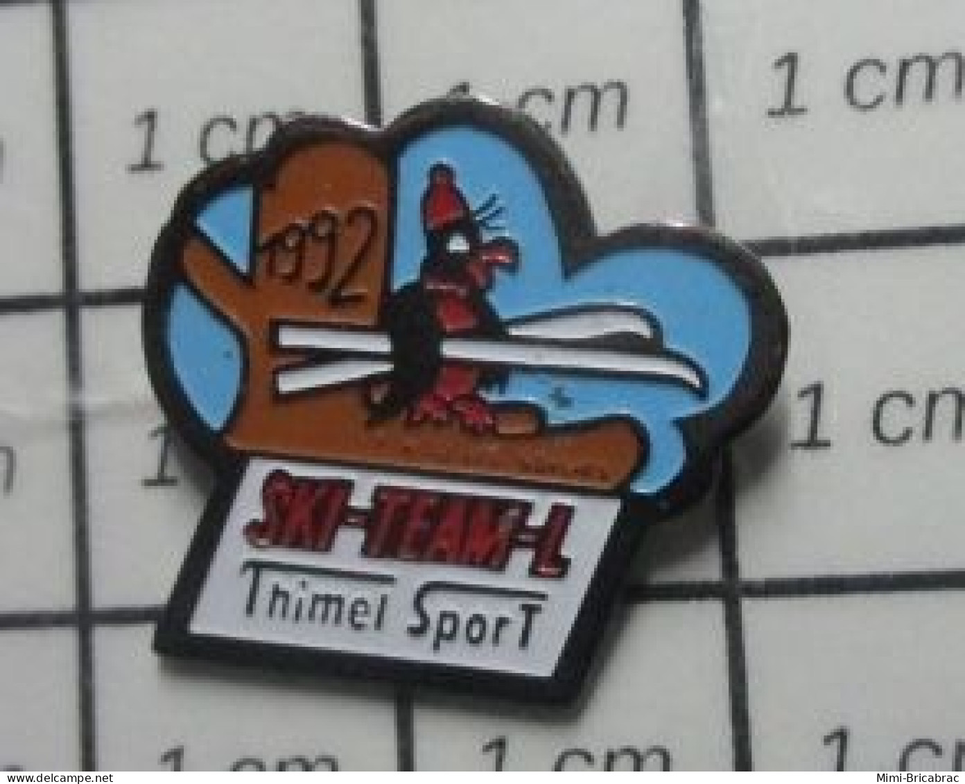 1922 Pin's Pins / Beau Et Rare / SPORTS / OISeAU SKIEUR SKI-TEAM-L THIMEL SPORT - Sport Invernali